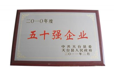 2010年五十強企業(yè)