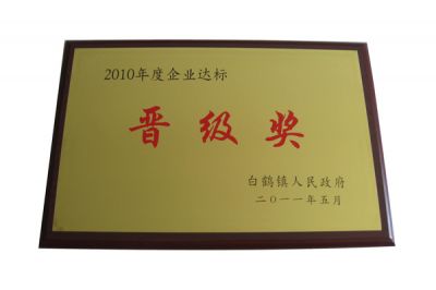 2010年企業(yè)達標晉級獎